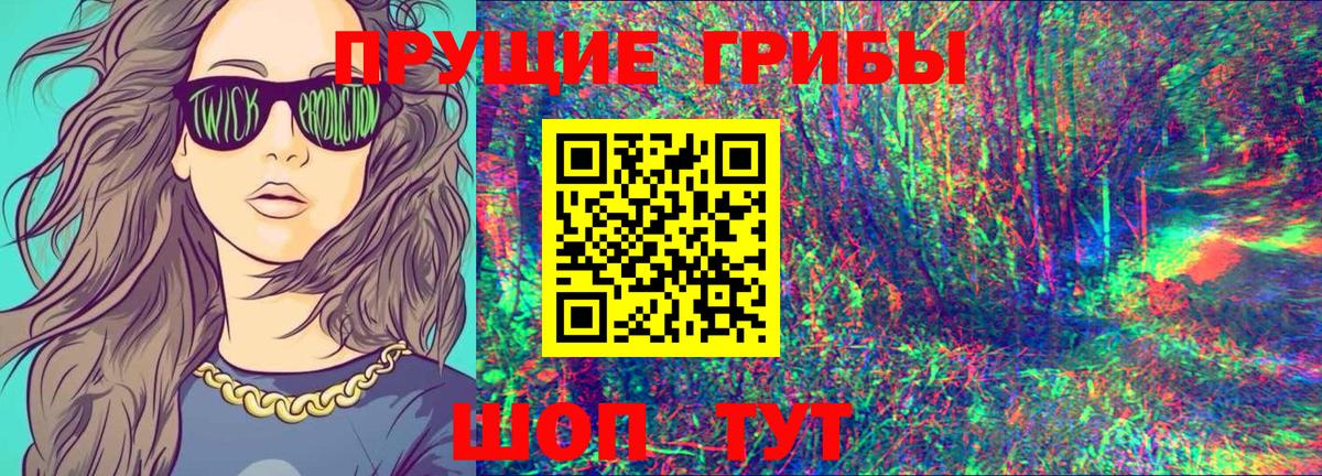Псилоцибиновые грибы прущие грибы  купить наркотик  Майкоп  Вход с VPN 