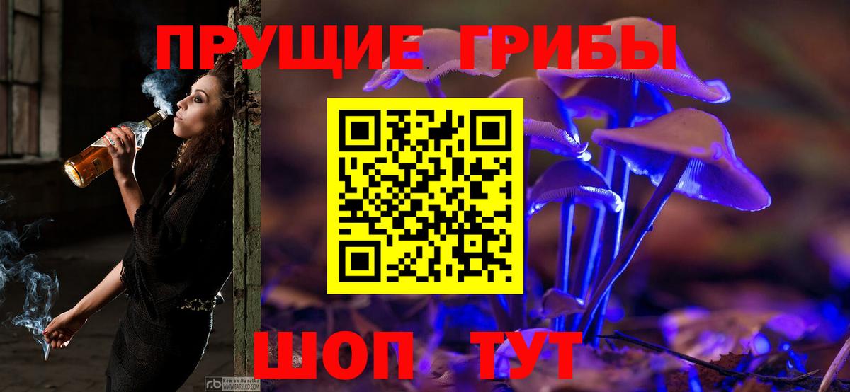 Псилоцибиновые грибы мицелий Майкоп